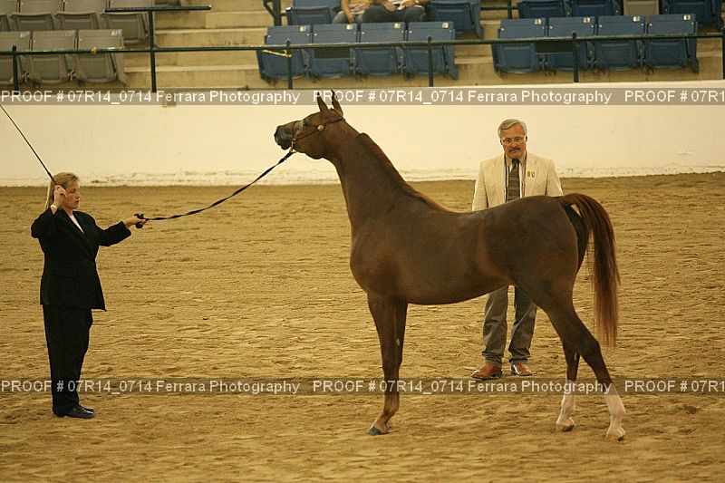 Proof 07R14_0714