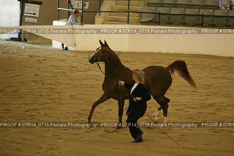 Proof 07R14_0715