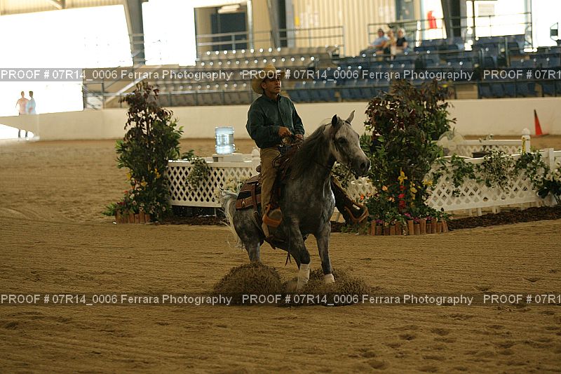 Proof 07R14_0006