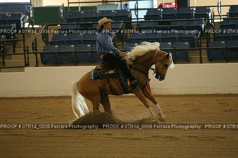 Proof 07R14_0008