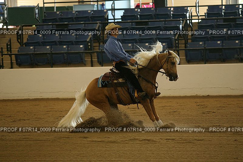 Proof 07R14_0009
