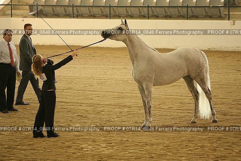 Proof 07R14_0848
