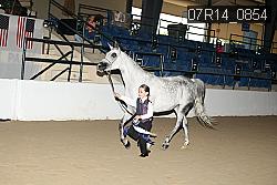 07R14_0854 proof