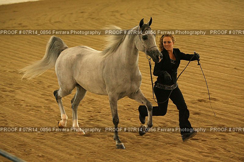 Proof 07R14_0856