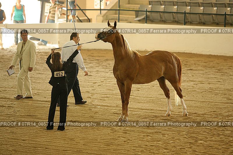 Proof 07R14_0857