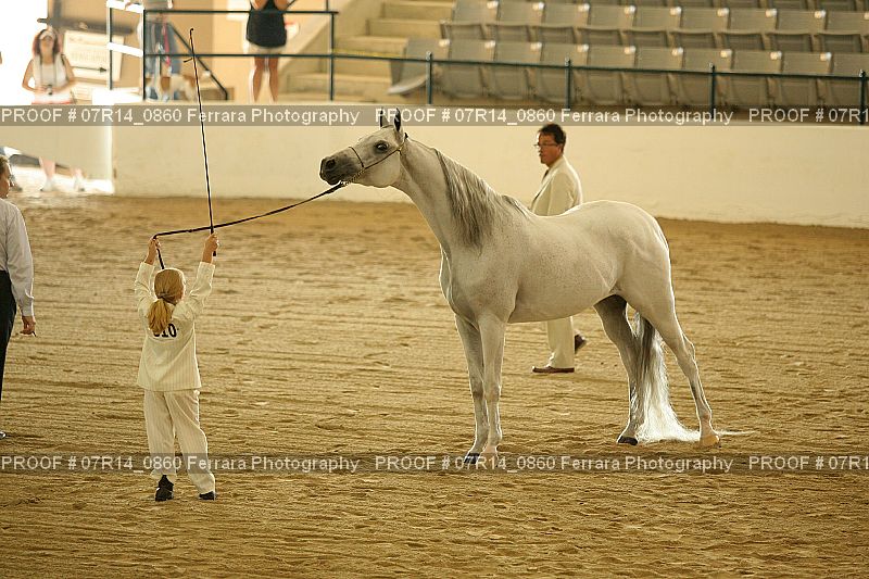 Proof 07R14_0860