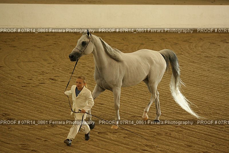 Proof 07R14_0861
