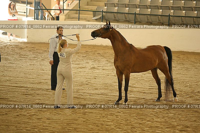 Proof 07R14_0862