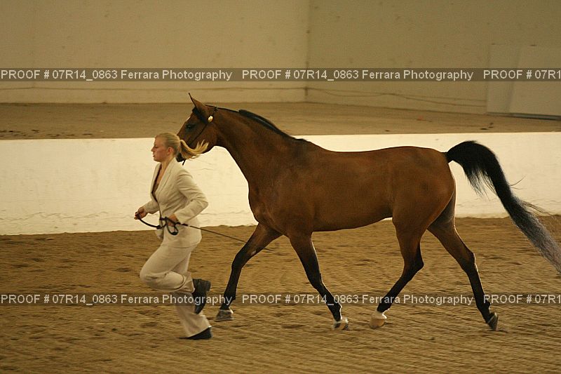 Proof 07R14_0863