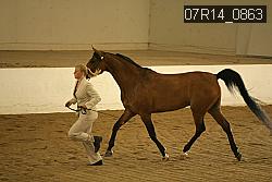 07R14_0863 proof