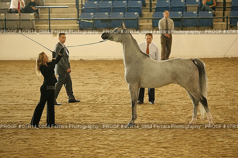 Proof 07R14_0864