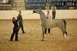 07R14_0864 proof