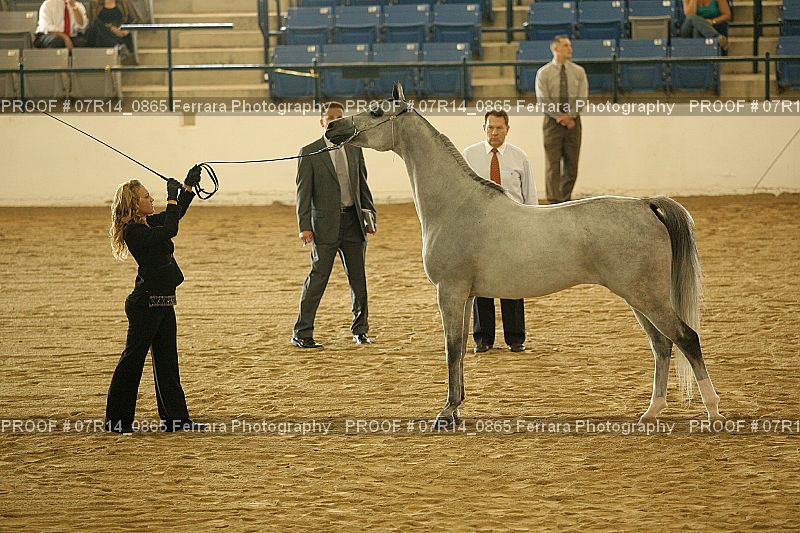 Proof 07R14_0865