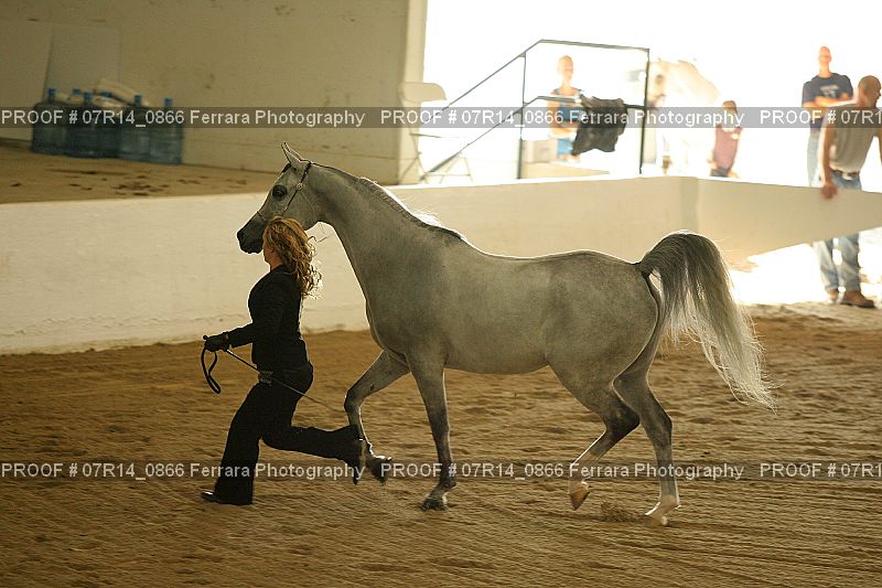 Proof 07R14_0866