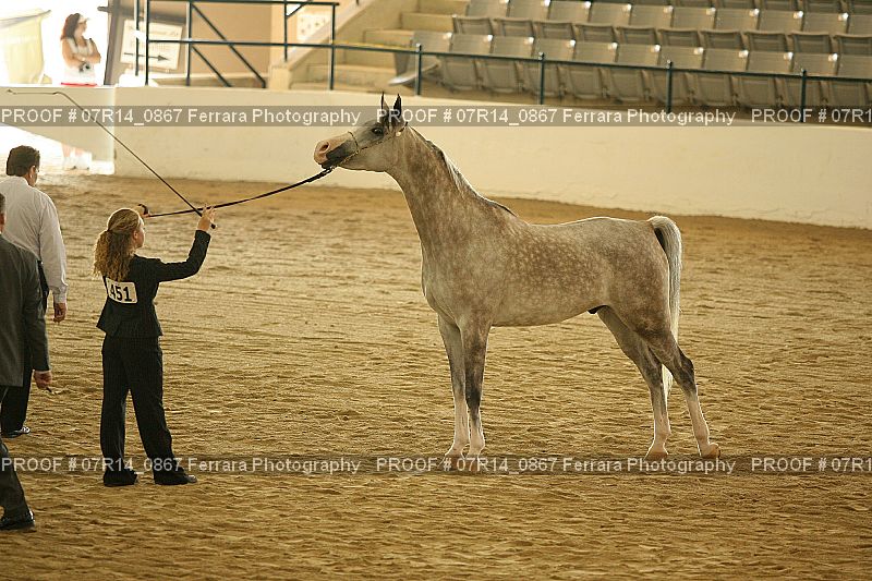 Proof 07R14_0867