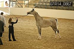 07R14_0867 proof