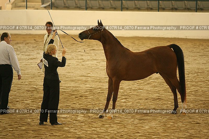 Proof 07R14_0870