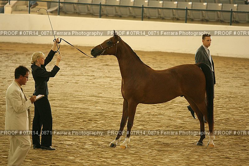 Proof 07R14_0871