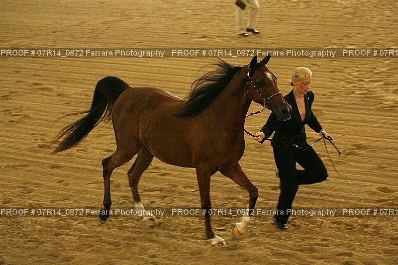 Proof 07R14_0872