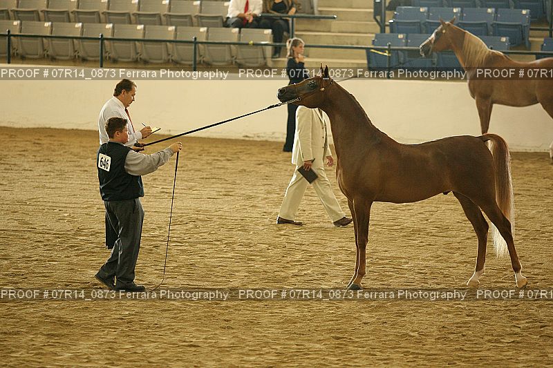 Proof 07R14_0873