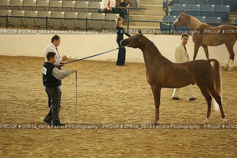 Proof 07R14_0874