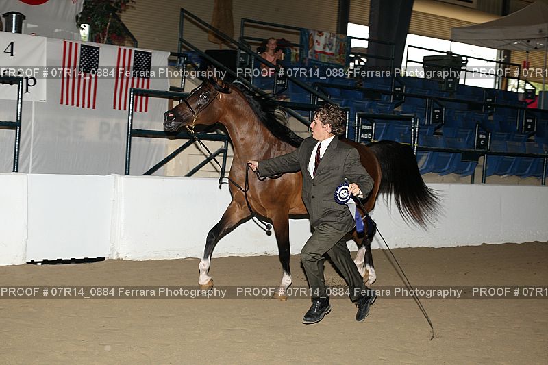 Proof 07R14_0884