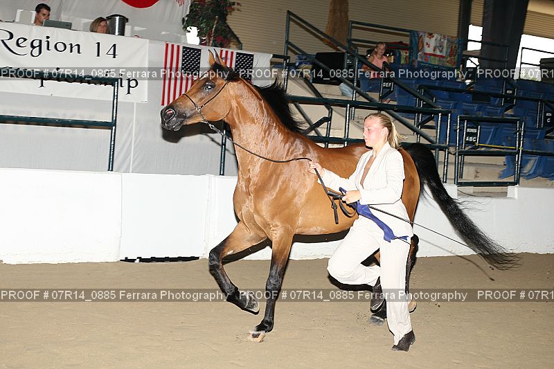 Proof 07R14_0885