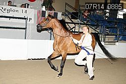 07R14_0885 proof