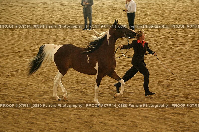 Proof 07R14_0889