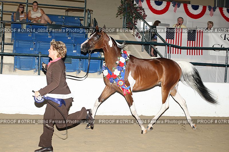 Proof 07R14_0894
