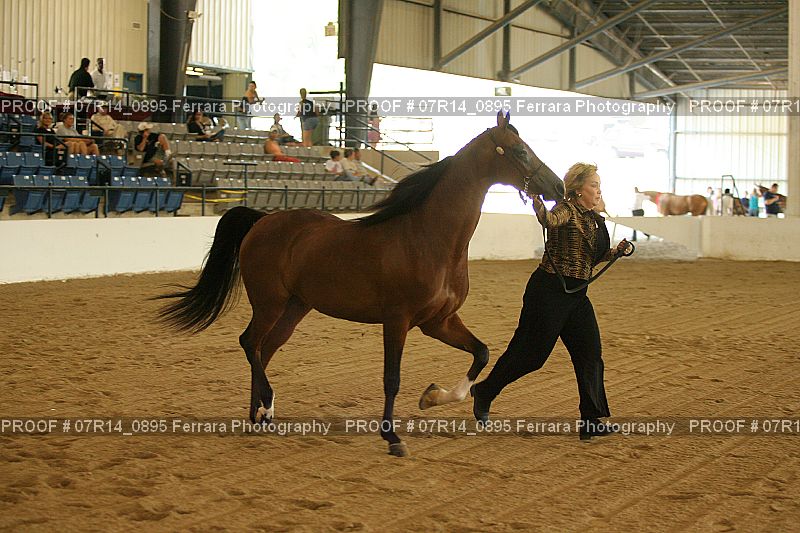 Proof 07R14_0895