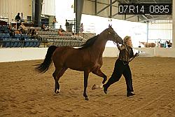 07R14_0895 proof