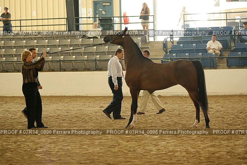 Proof 07R14_0896