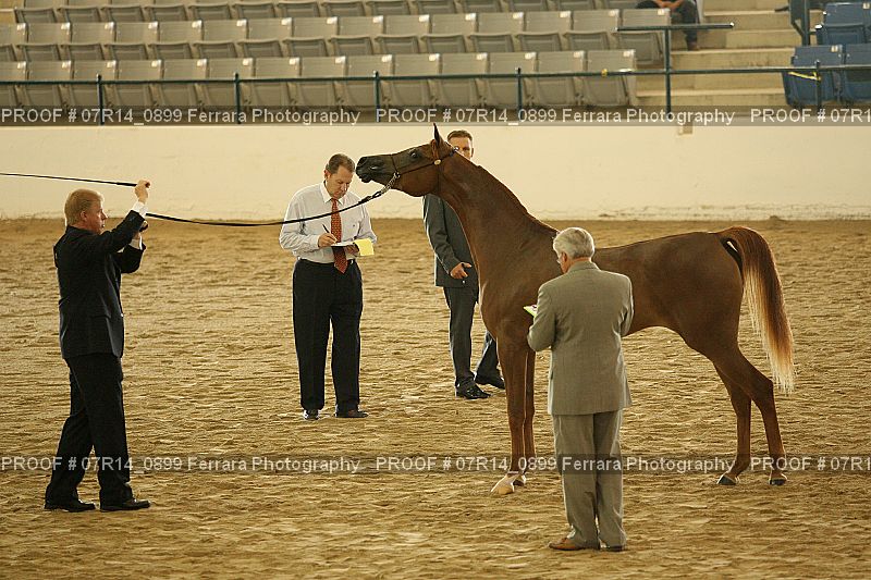 Proof 07R14_0899