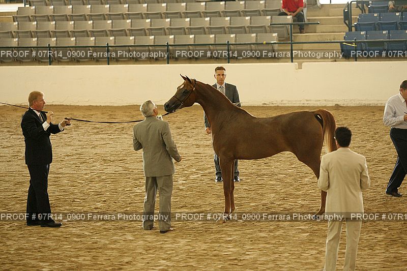 Proof 07R14_0900