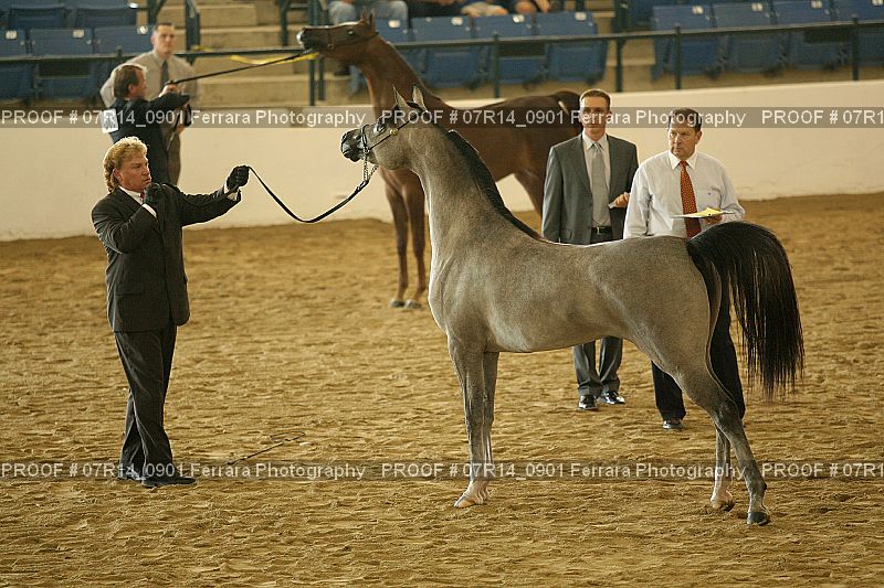 Proof 07R14_0901
