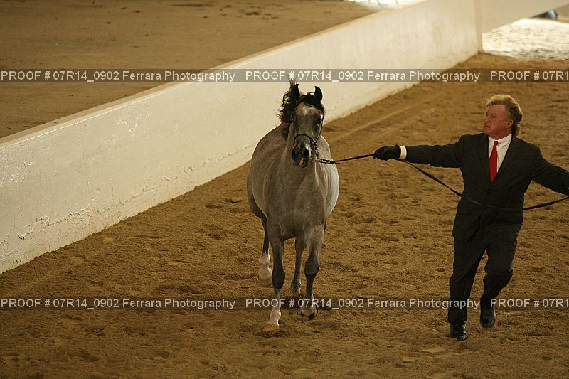 Proof 07R14_0902