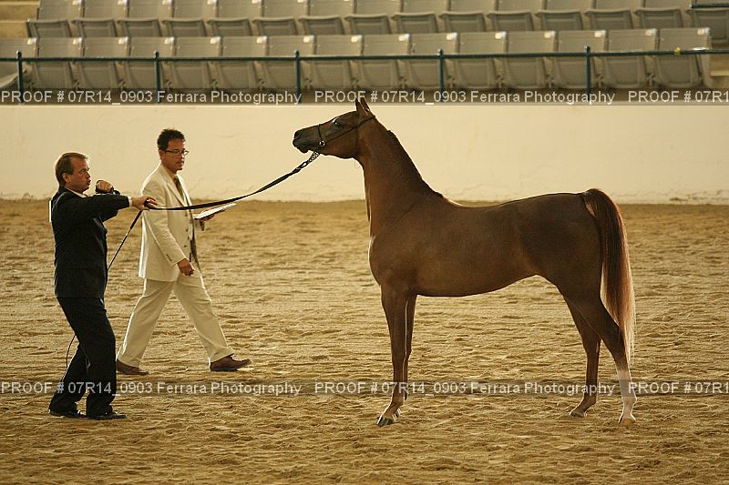 Proof 07R14_0903