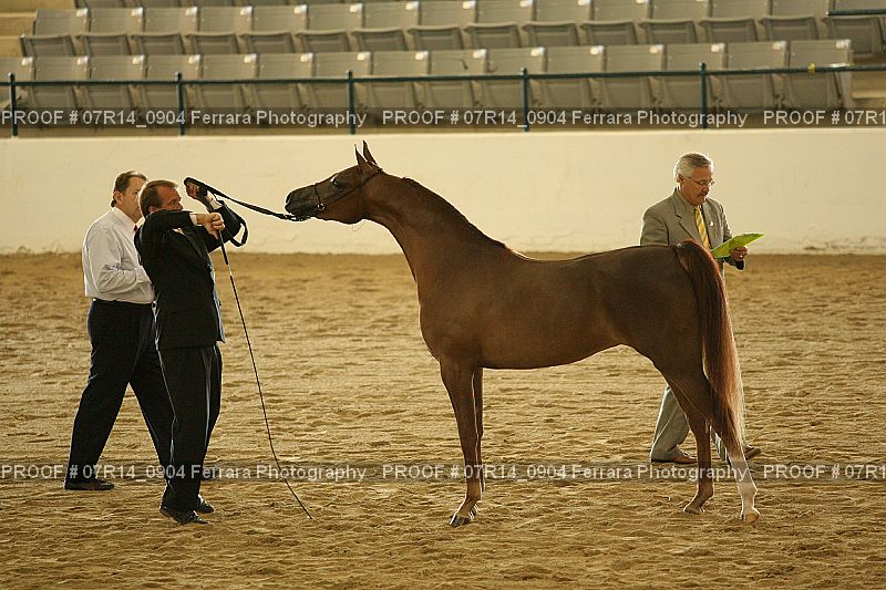 Proof 07R14_0904