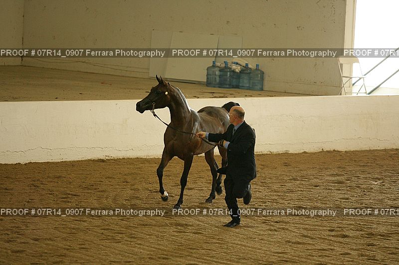 Proof 07R14_0907
