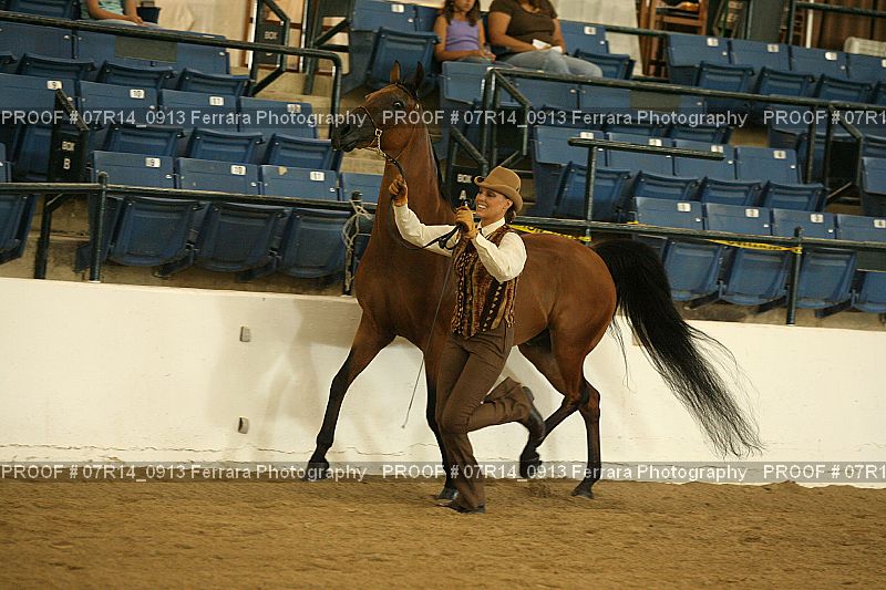 Proof 07R14_0913
