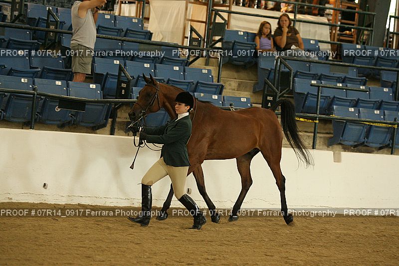 Proof 07R14_0917