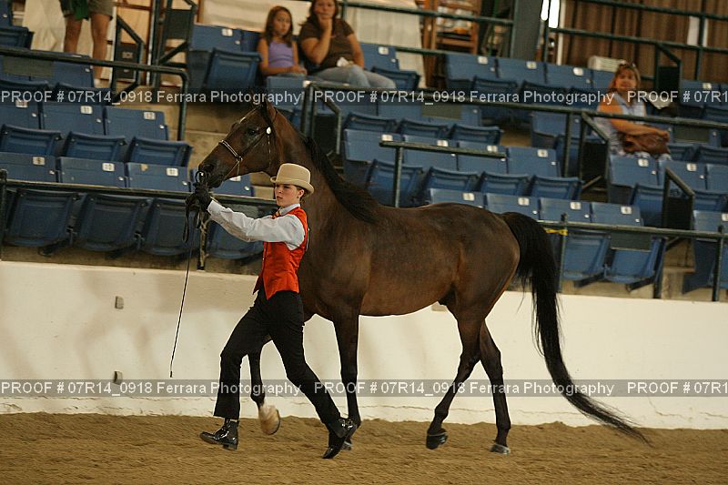 Proof 07R14_0918