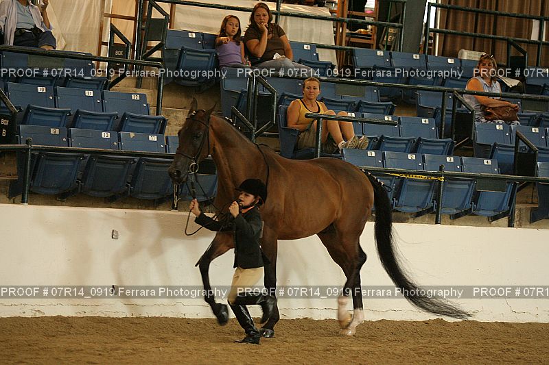 Proof 07R14_0919