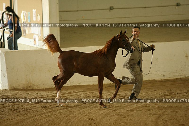 Proof 07R14_1519