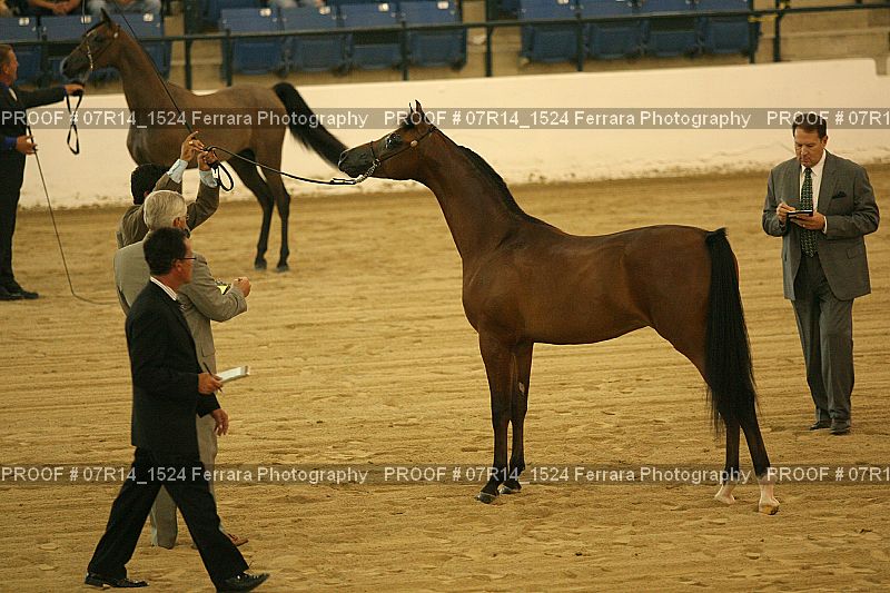 Proof 07R14_1524