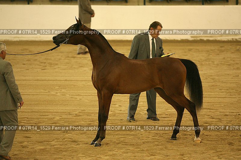 Proof 07R14_1529