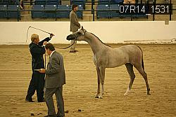 07R14_1531 proof