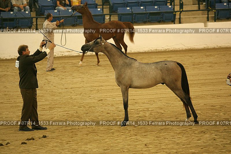 Proof 07R14_1533