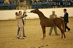 07R14_1534 proof